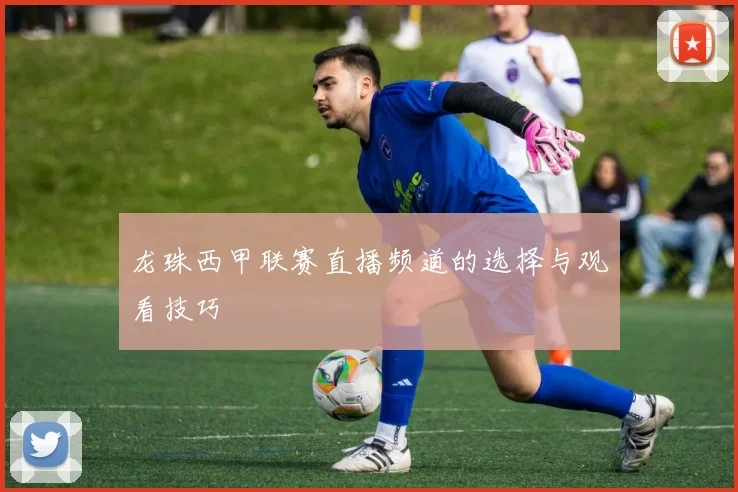 龙珠西甲联赛直播频道的选择与观看技巧