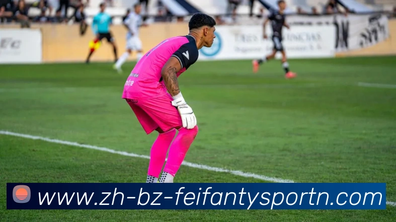 非凡体育平台生态图